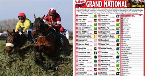 runners and riders for the grand national|Grand National Runners & Riders List 2024 .